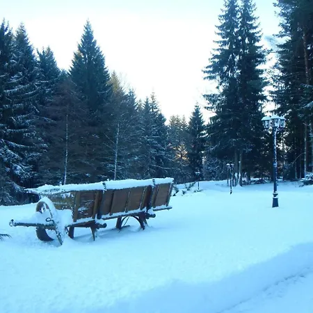 Hotel Lesni Zatisi Vojtechov