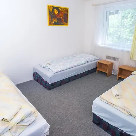 Hotel Lesni Zatisi Vojtechov 3*